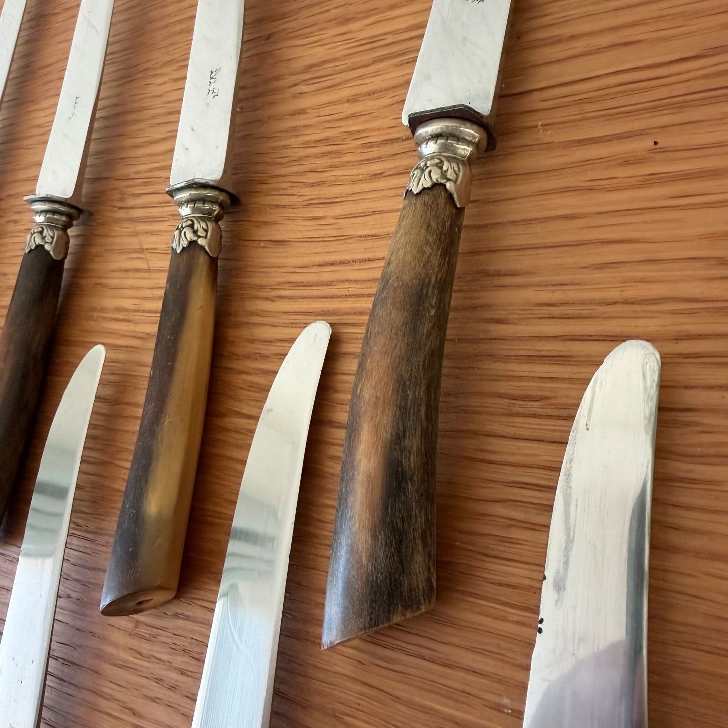 Antique French Dinner Steak Knives Horn Handles Silver Collar 12pcs 0302267 Unbranded