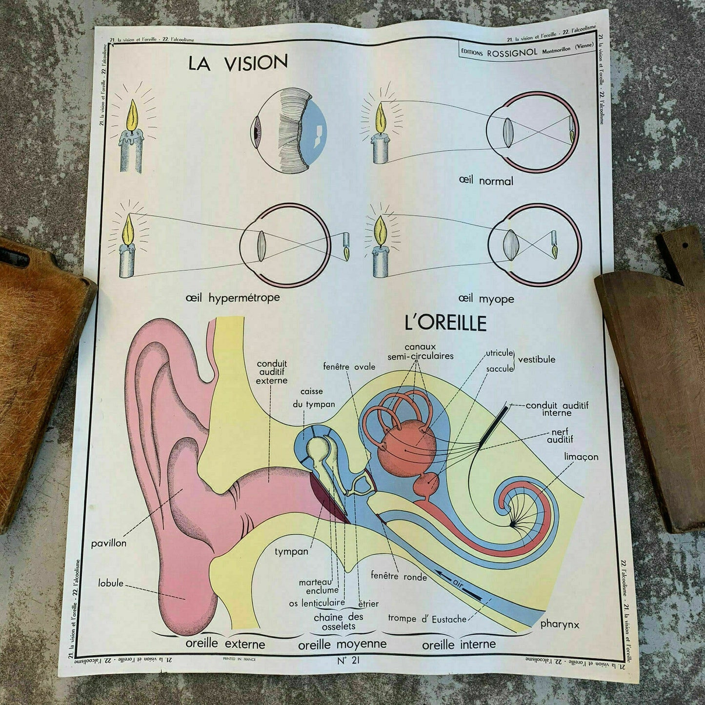 ROSSIGNOL MDI Vintage French School Poster anatomy Two Sides 1960's ears 1907191 - Fleamarketfrance