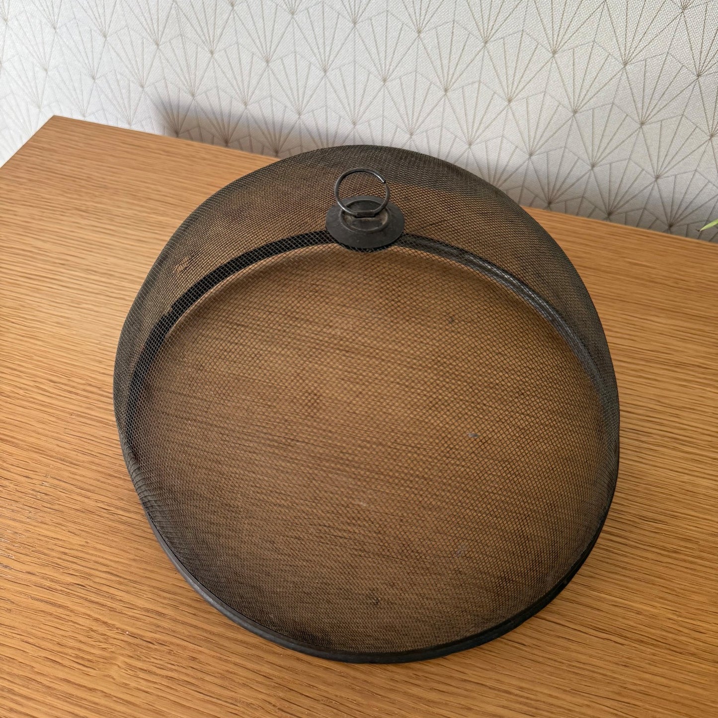 Vintage Wire Metal Cloche Knob Bell Cheese Cover Succulent Keeper 1003261