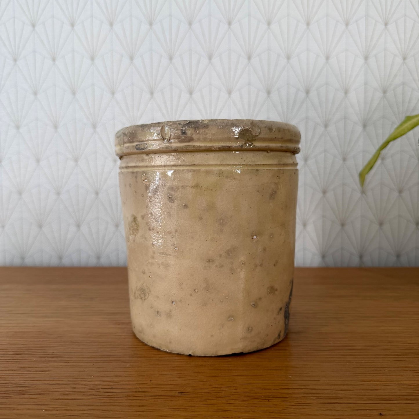 Antique Italian Stoneware Crock Sardine Pot Beige Glazed 01072610 Unbranded