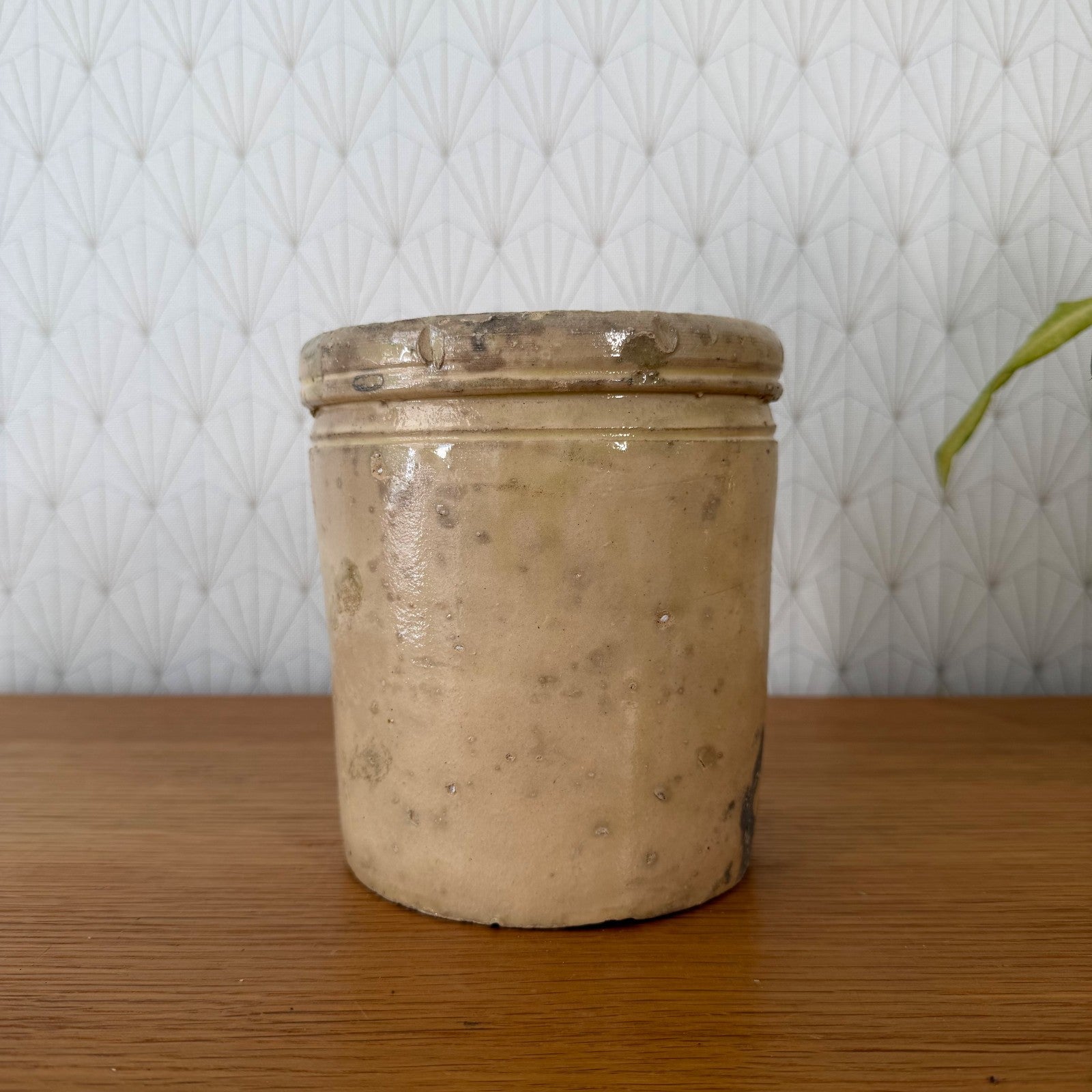 Antique Italian Stoneware Crock Sardine Pot Beige Glazed 01072610 Unbranded