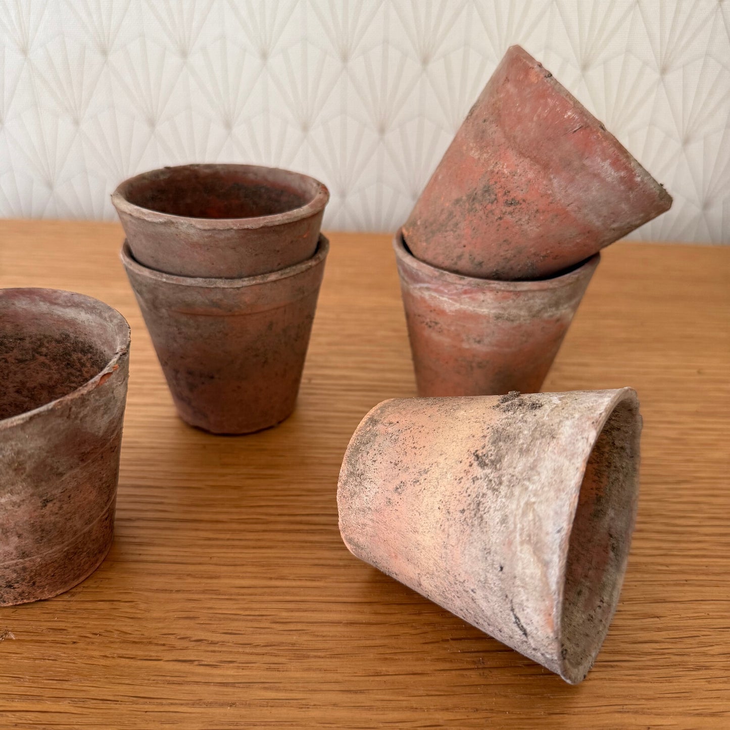Vintage French Lot of 6 Terracotta Pots Planter 1206251