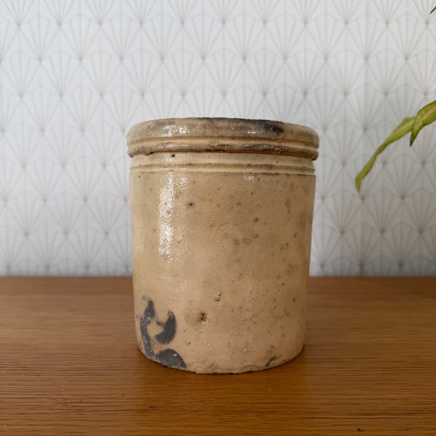 Antique Italian Stoneware Crock Sardine Pot Beige Glazed 01072610 Unbranded