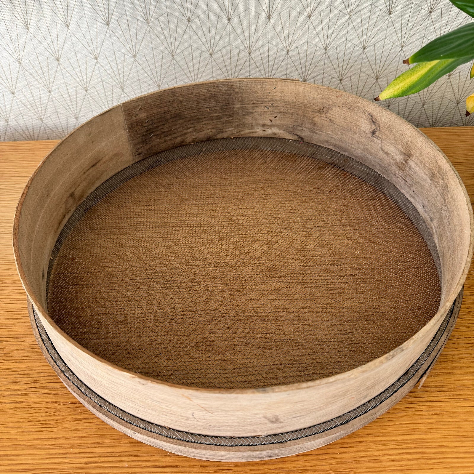 Antique French Wooden Sieve Flour Sifter Primitive Kitchen 17" 1506245 Unbranded