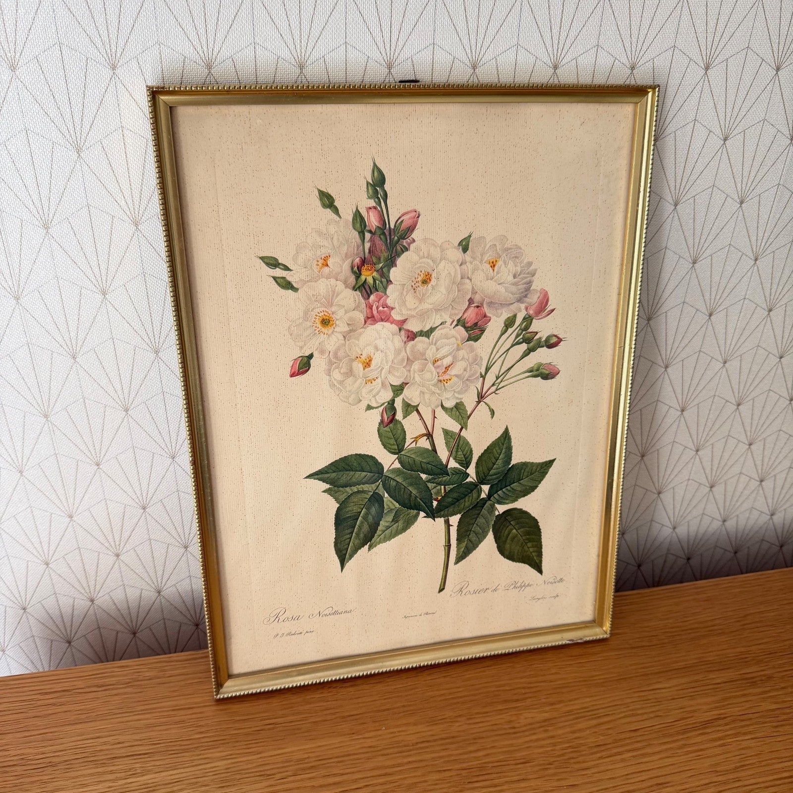 French Botanical Print Rosa Noisettiana Redoute Style Lithograph 1012251 no brand