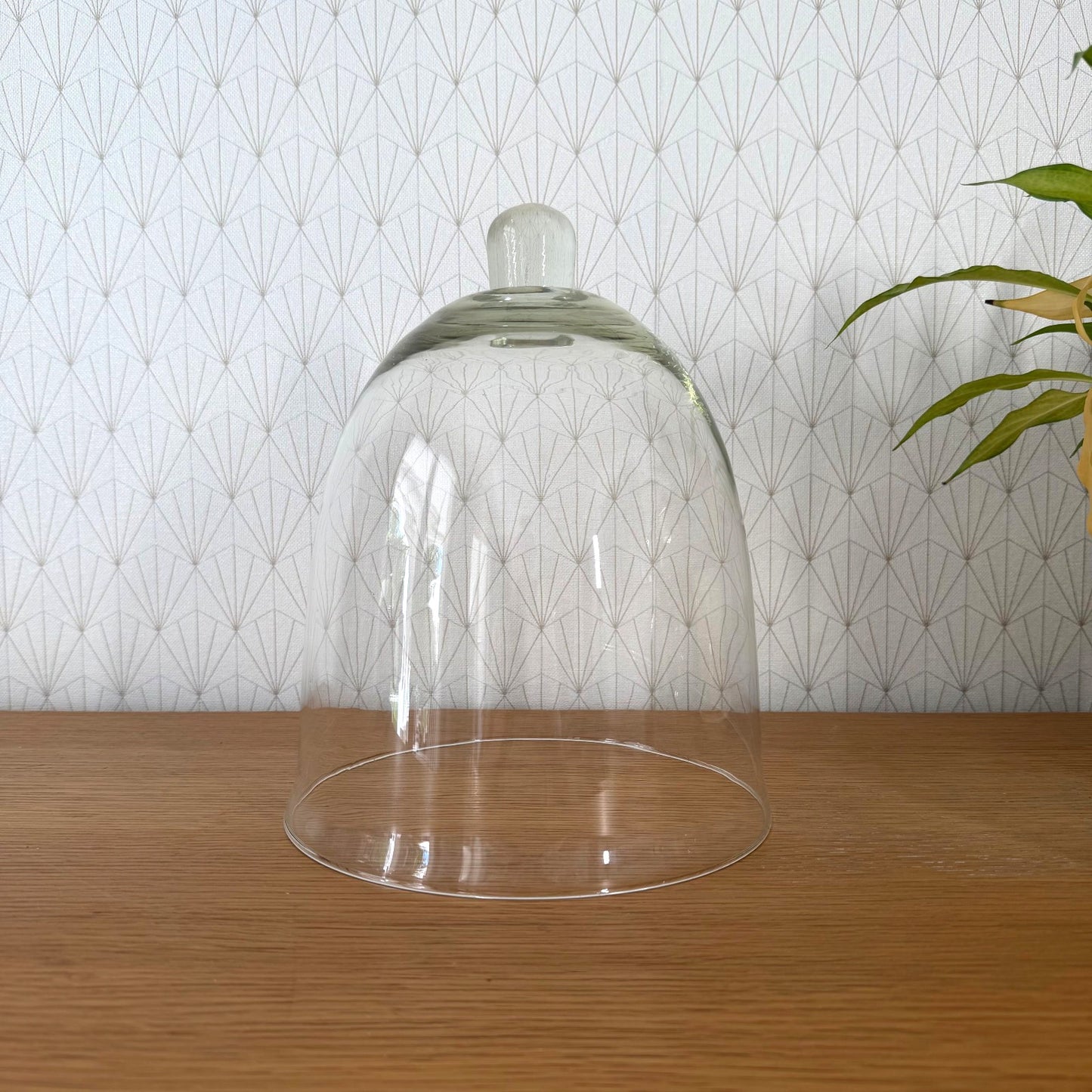 French hand-blown glass cloche dome with knob handle on wooden surface