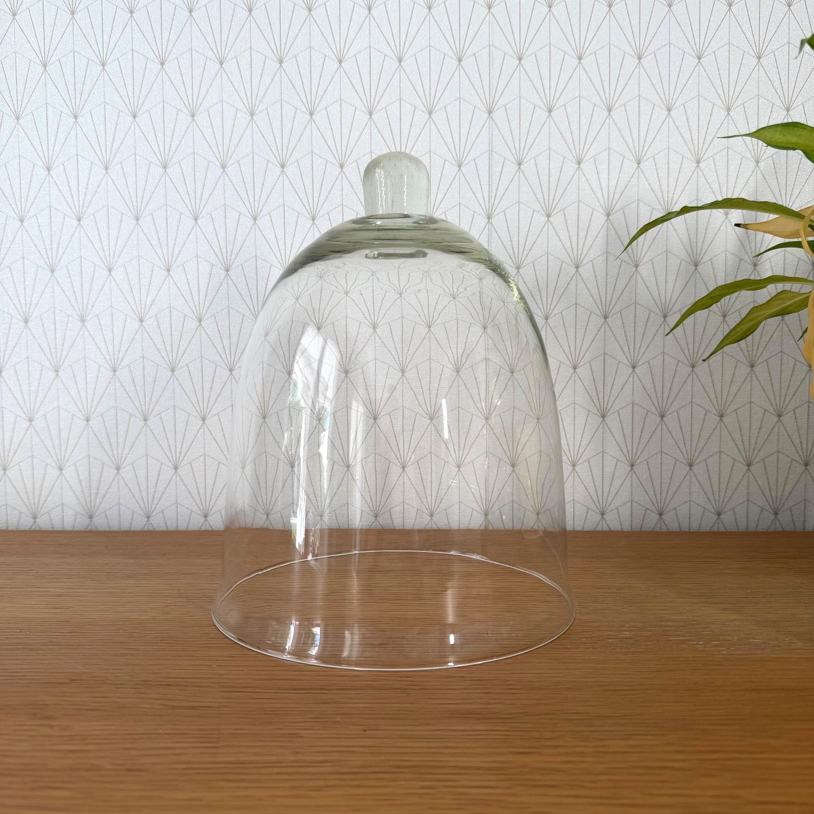 French hand-blown glass cloche dome with knob handle on wooden surface