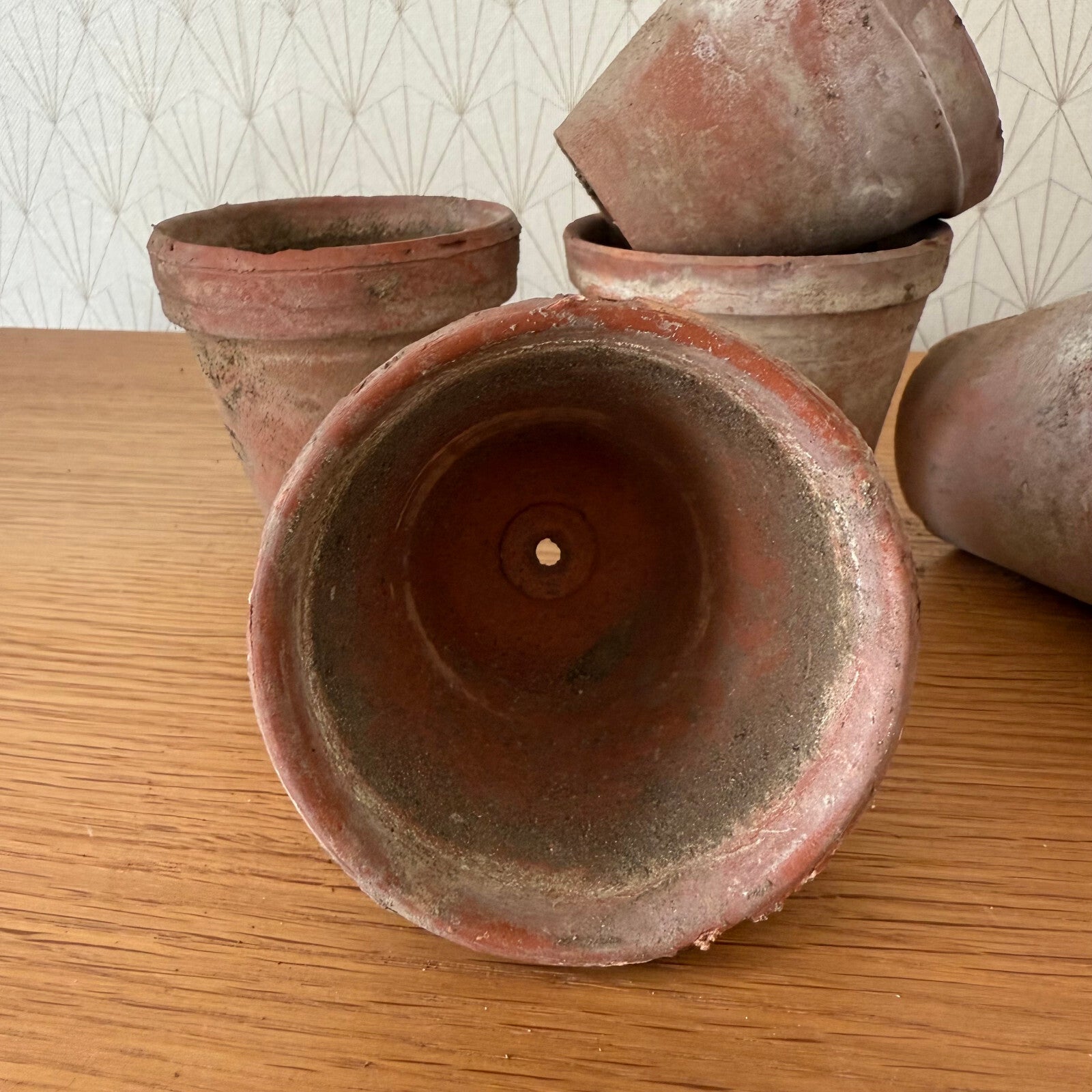 Vintage French Terracotta Pots Set of 6 Small Garden Planters 1102259 Fleamarketfrance