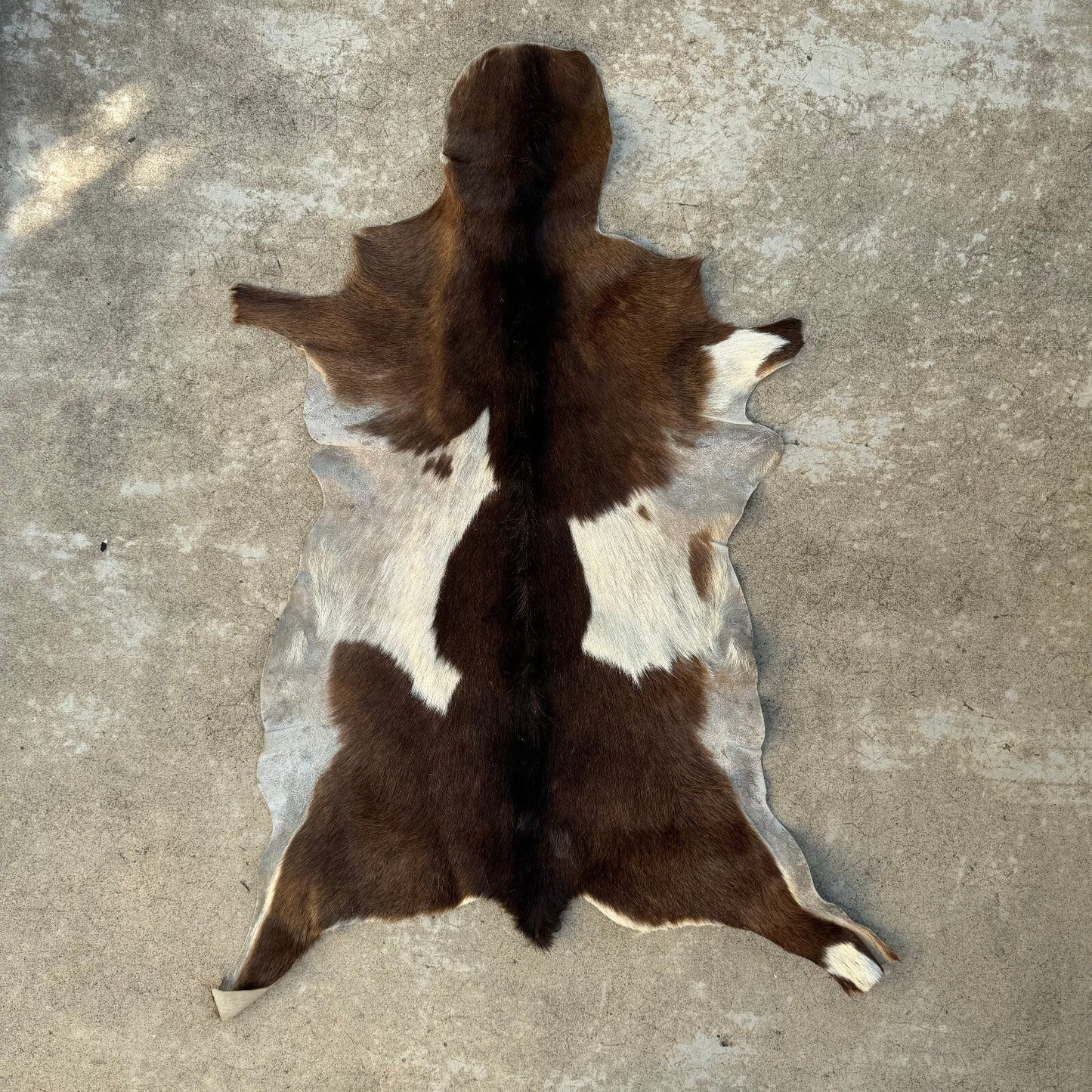 Vintage French Cowhide Rug Brown White Hair On Hide 41x21 0208248 Fleamarketfrance