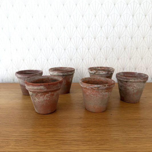 Vintage French Terracotta Plant Pots Set of 6 Small Planters 15092613 Fleamarketfrance