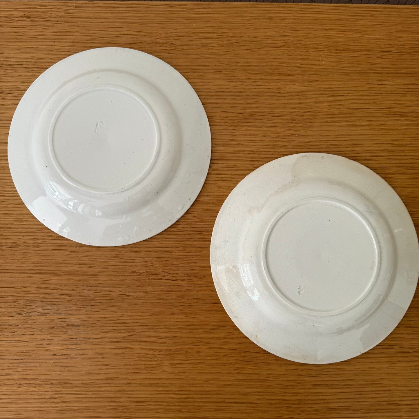 2 French Dinner plates decor flowers blues ironstone 1707253