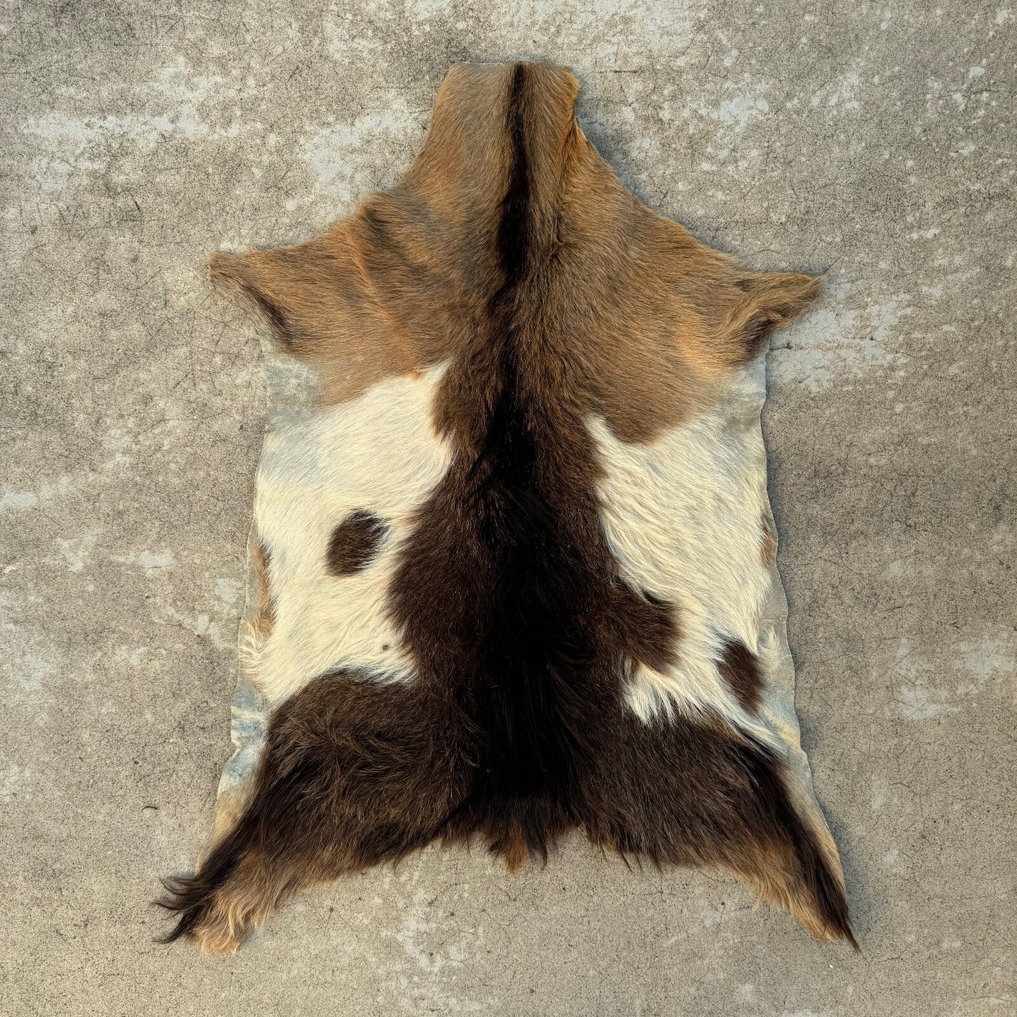 Vintage French Goat Hide Rug Natural Fur Pelt Taxidermy Decor 0208249 Fleamarketfrance