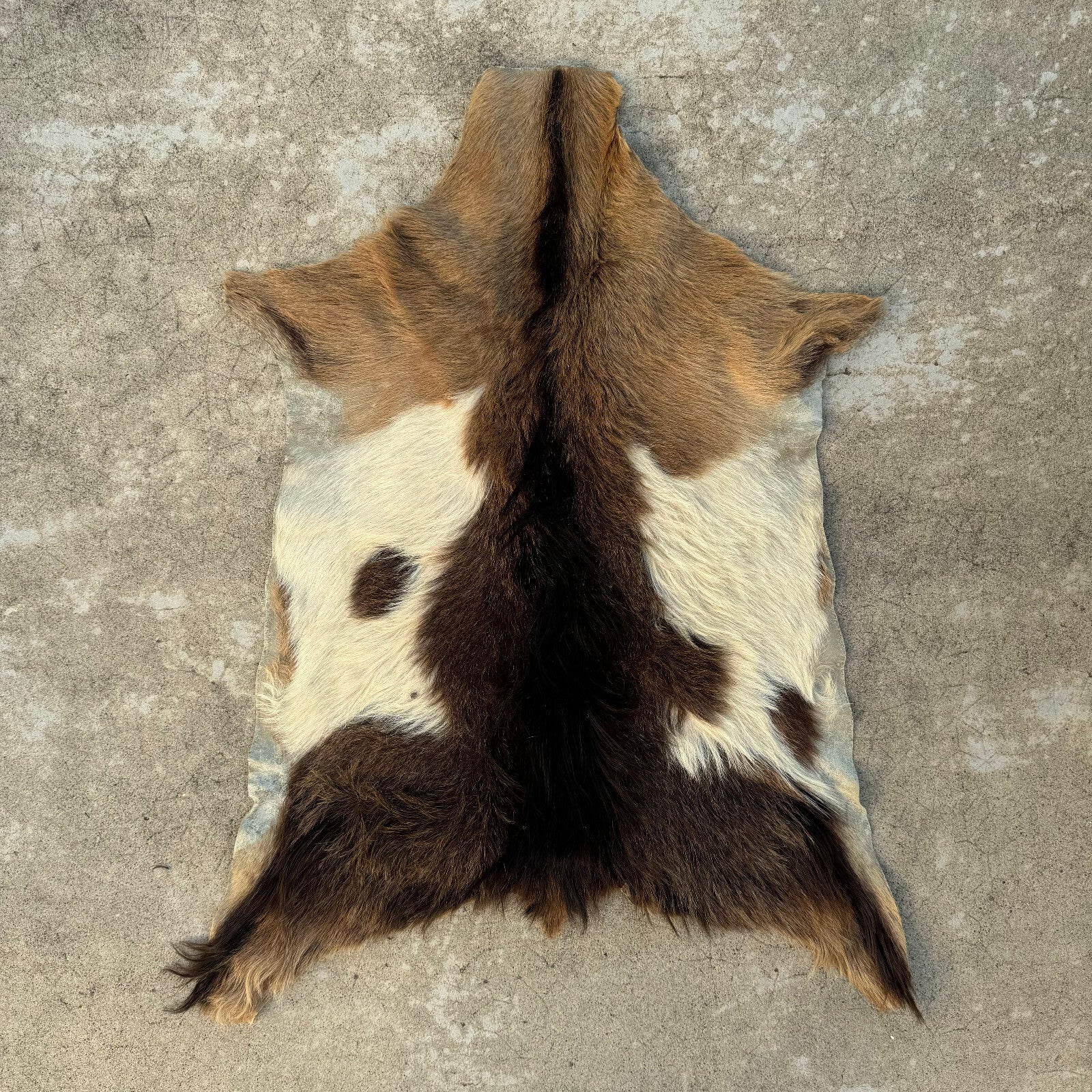 Vintage French Goat Hide Rug Natural Fur Pelt Taxidermy Decor 0208249 Fleamarketfrance