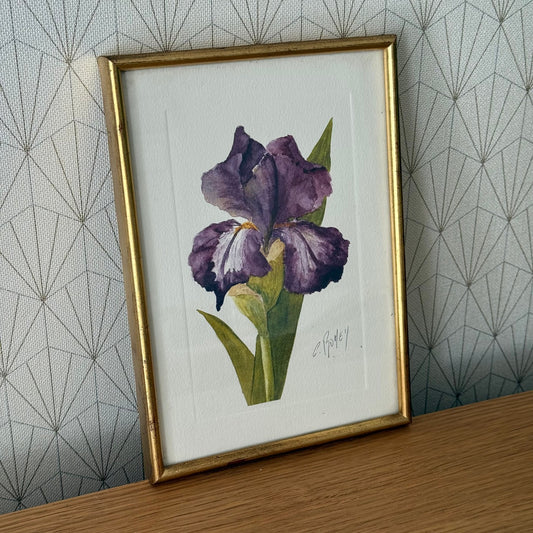 LOVELY VINTAGE FRENCH ART WATERCOLOR PAINTING FLOWERS PLANT FRAMED 0307252