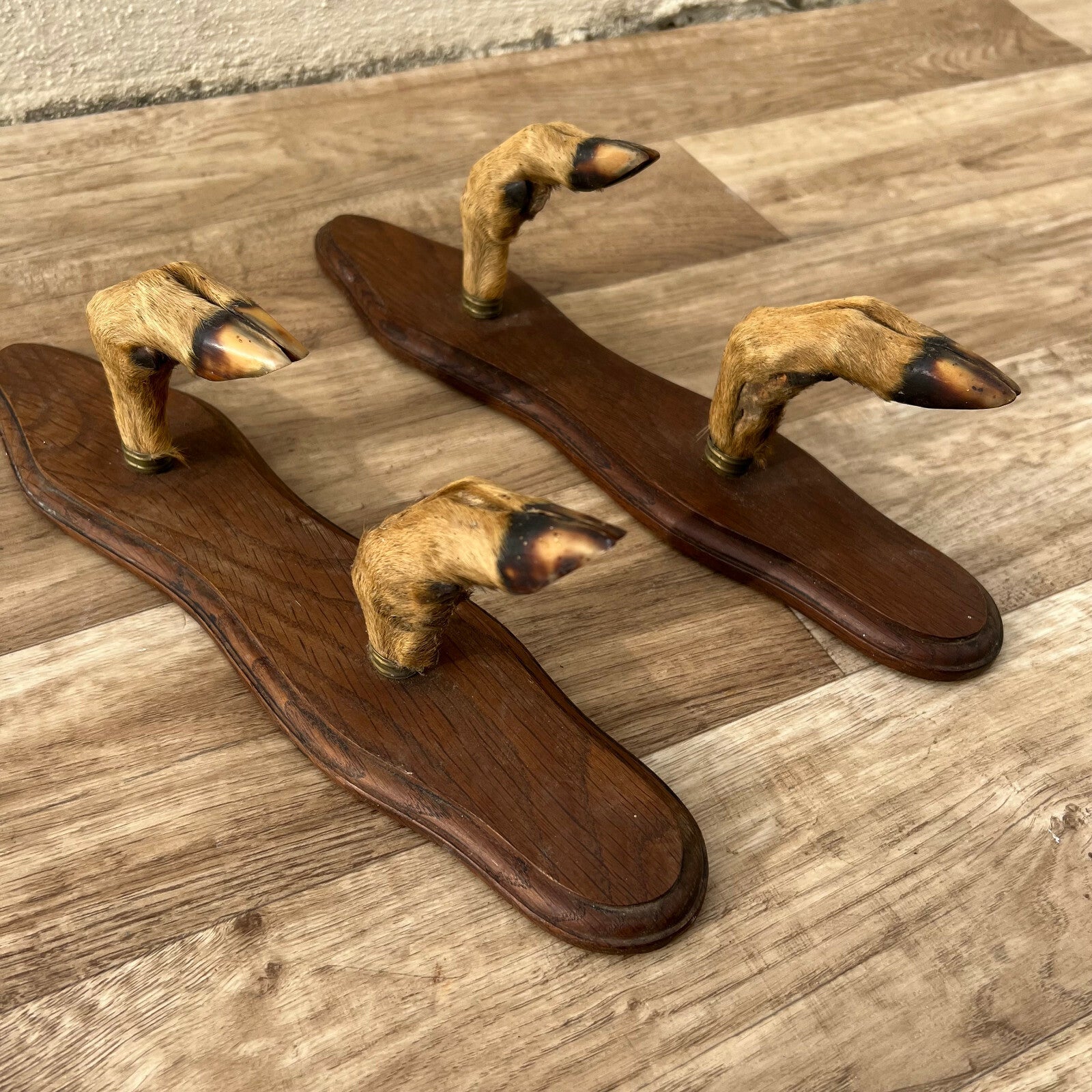 French Antler Wall Hooks Vintage Deer Claw Coat Hanger Chateau 1812219 Fleamarketfrance