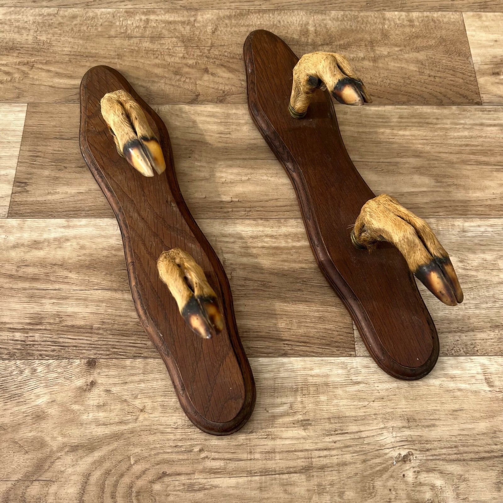 French Antler Wall Hooks Vintage Deer Claw Coat Hanger Chateau 1812219 Fleamarketfrance