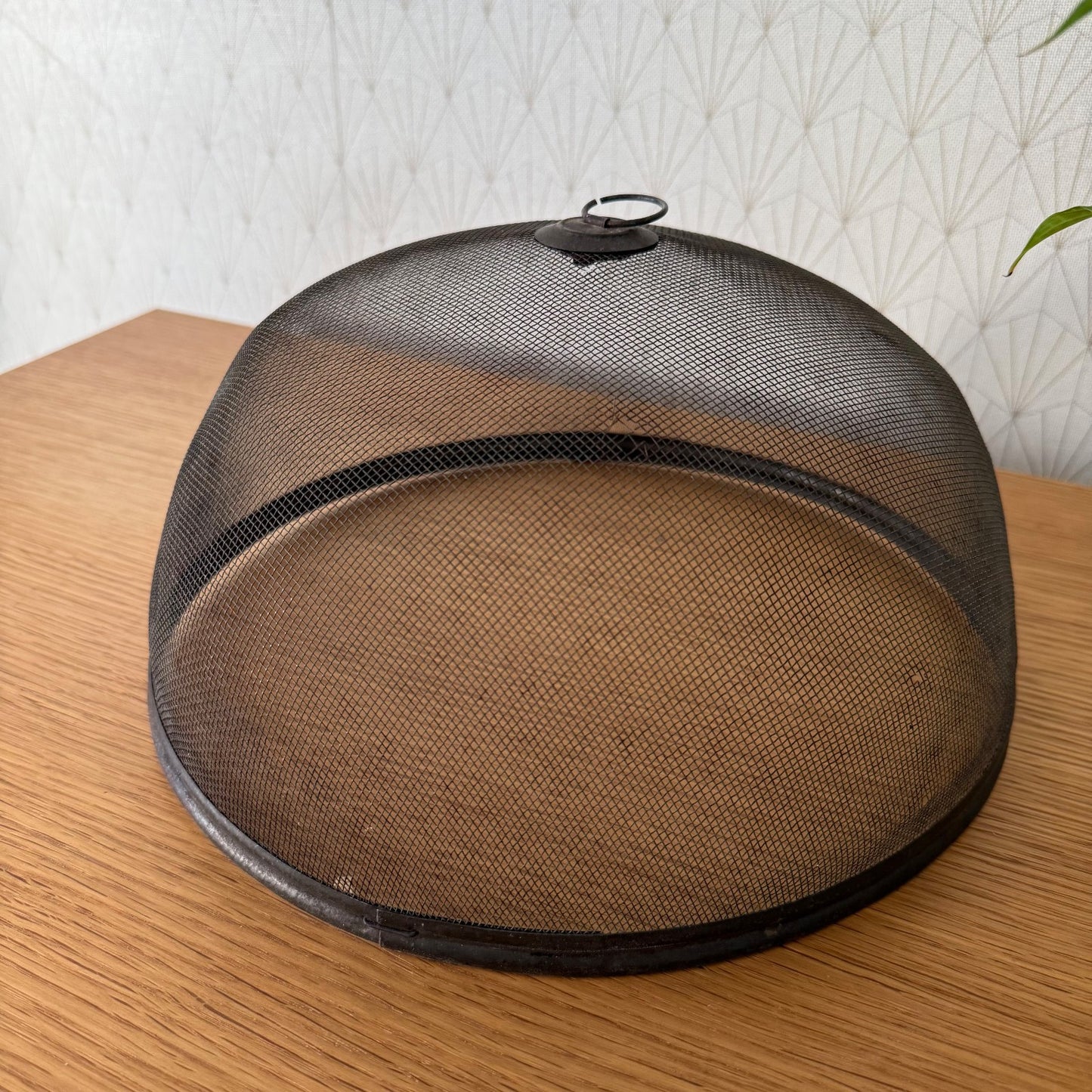 Vintage Wire Metal Cloche Knob Bell Cheese Cover Succulent Keeper 1003261