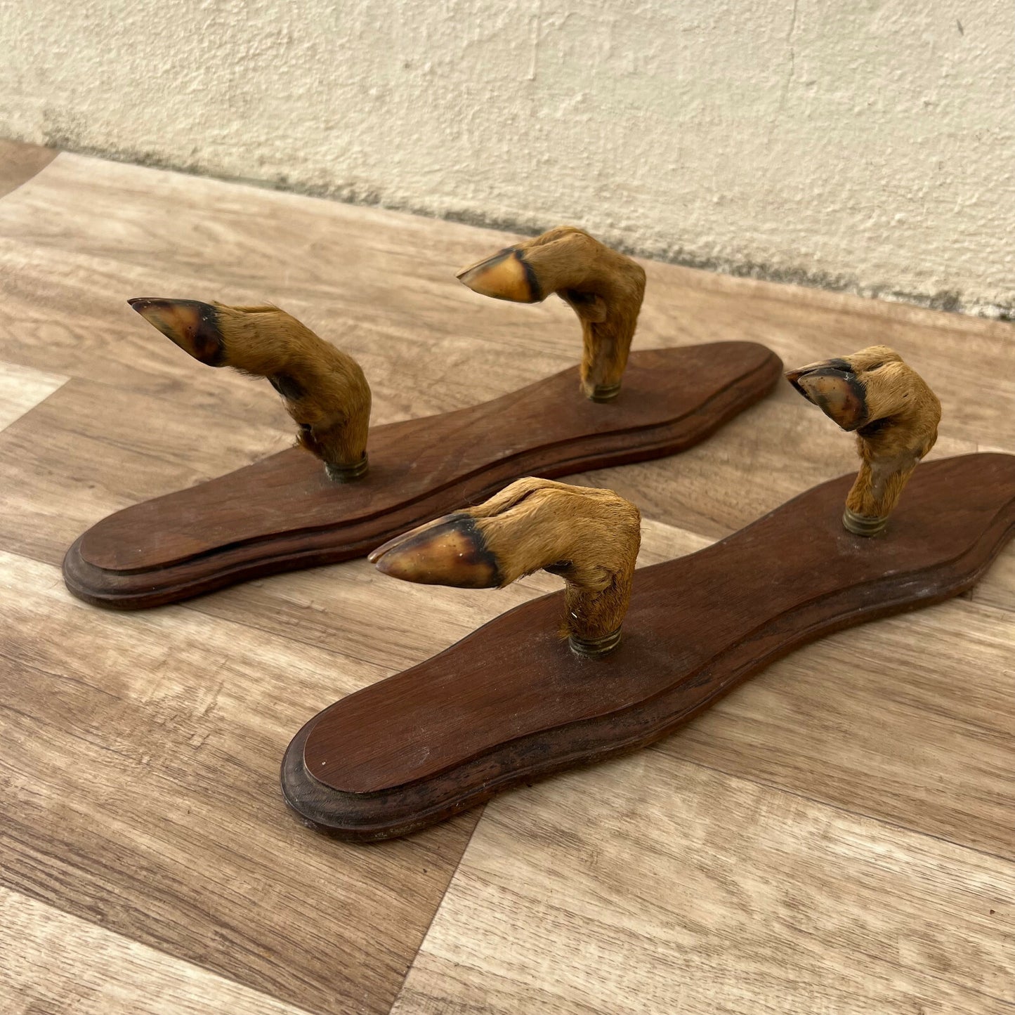 French Antler Wall Hooks Vintage Deer Claw Coat Hanger Chateau 1812219 Fleamarketfrance