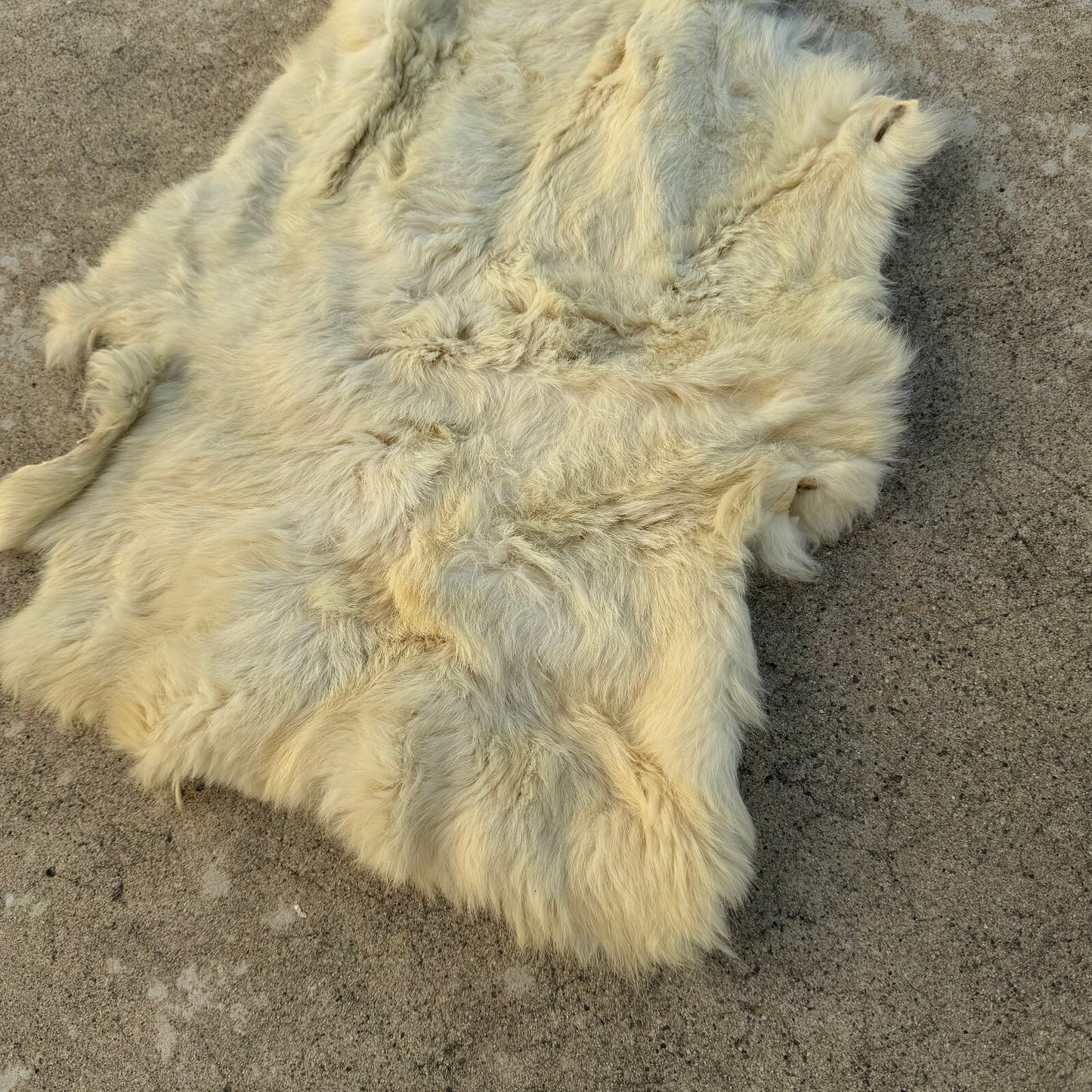 French Sheepskin Rug Vintage Natural Fur Pelt Hide Leather 02082412 Fleamarketfrance