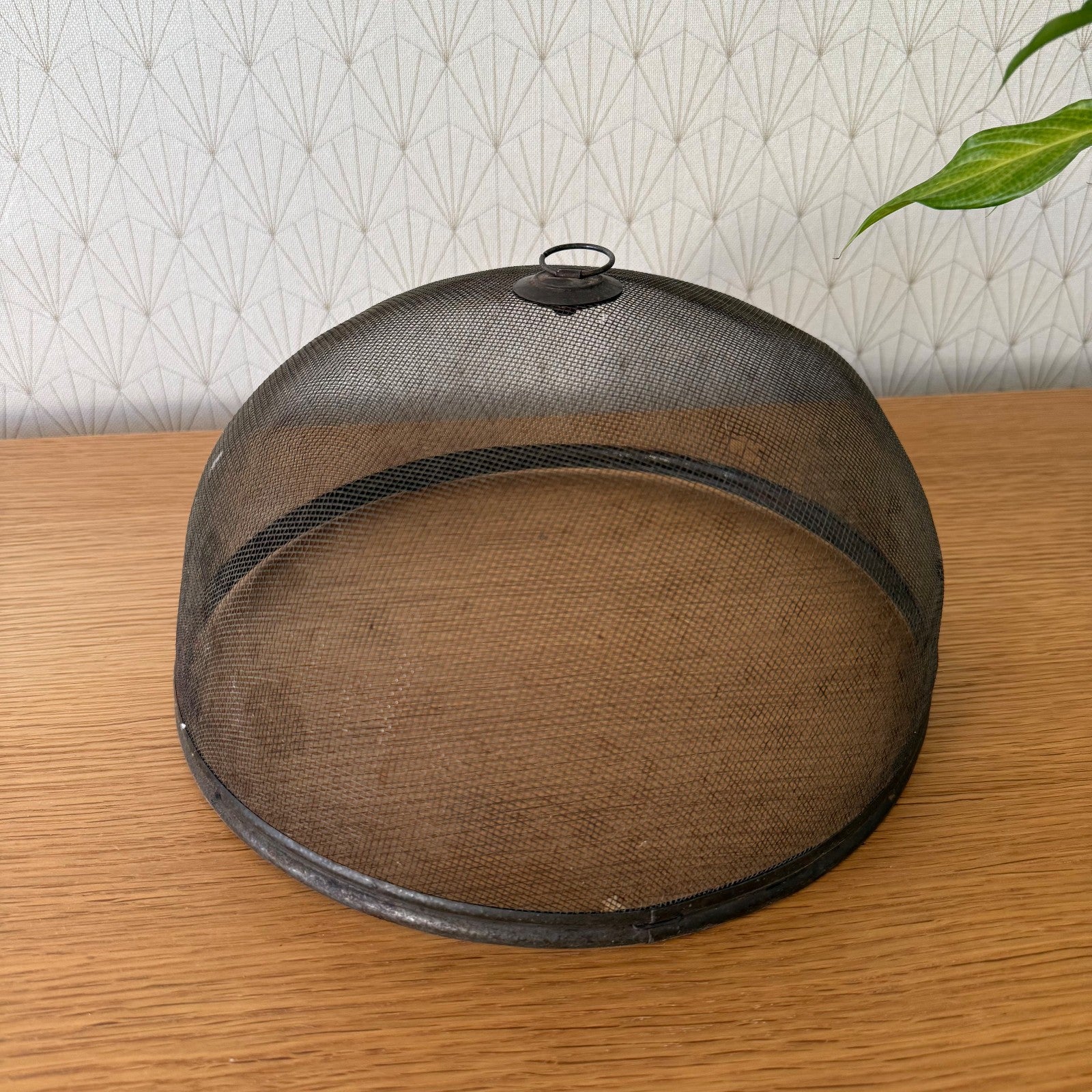 French Vintage Wire Mesh Cloche Food Dome Cheese Cover Bell 1003261 Unbranded