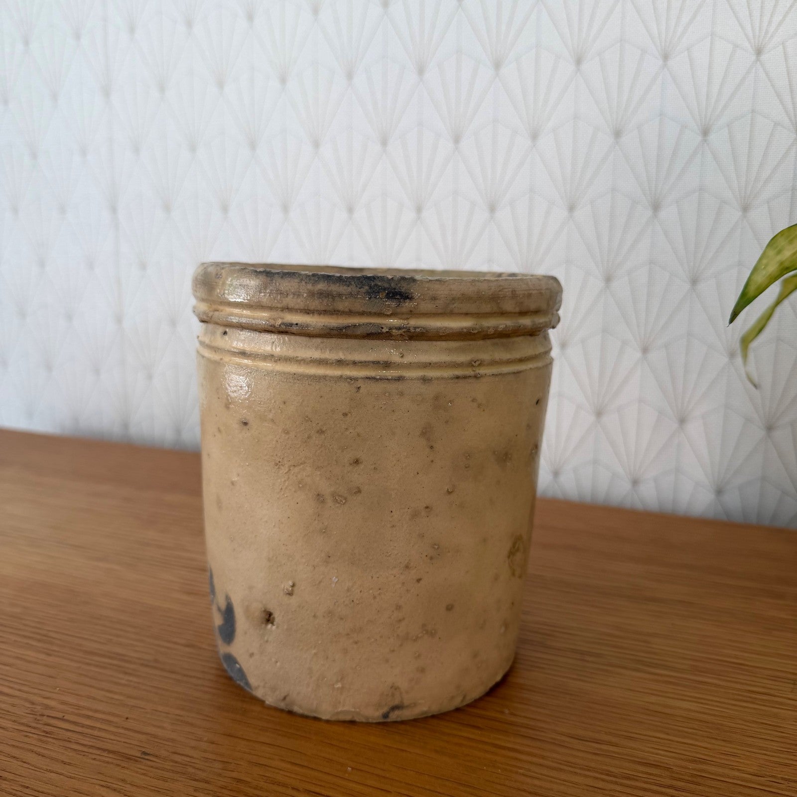 Antique Italian Stoneware Crock Sardine Pot Beige Glazed 01072610 Unbranded