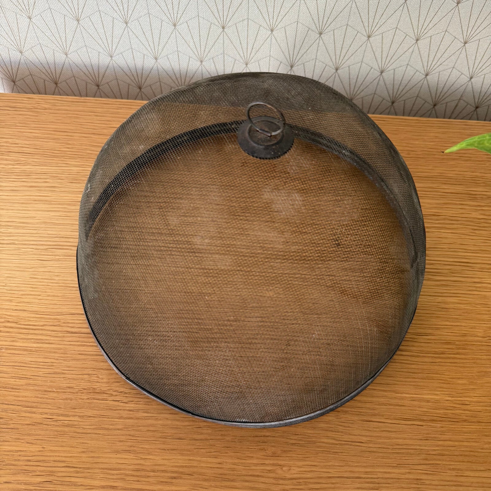 Vintage Wire Metal Cloche Knob Bell Cheese Cover Succulent Keeper 1904251 Unbranded