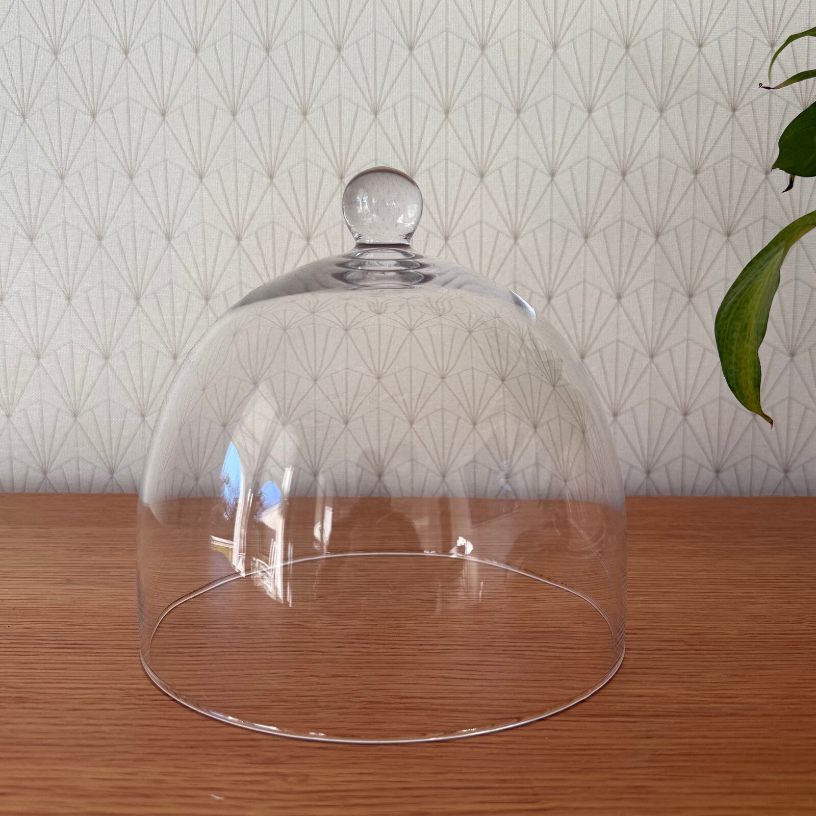 French Glass Cloche Cheese Dome Bell Cover Vintage Display Stand 2401259 Unbranded