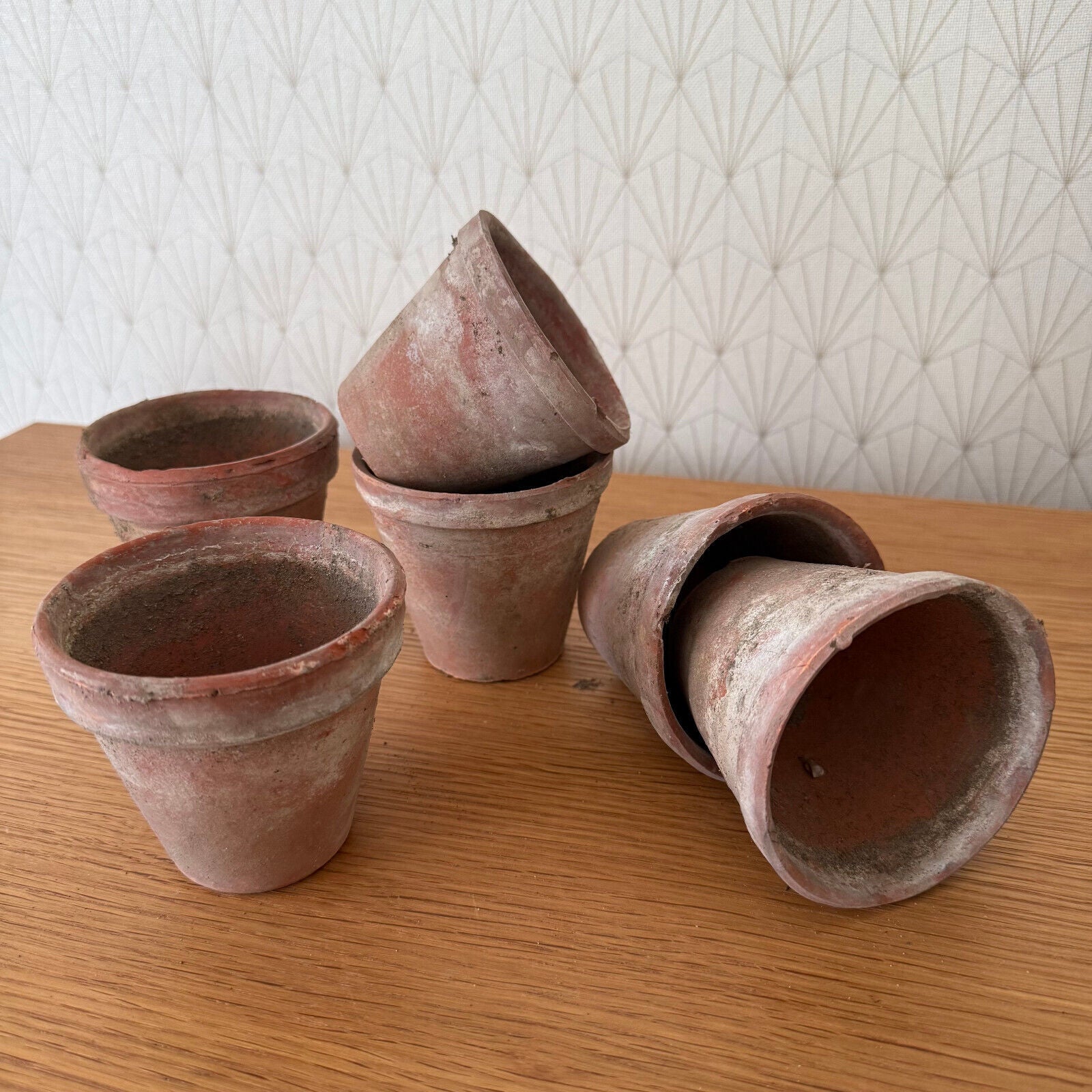 Vintage French Lot of 6 Terracotta Pots Planter 1102259 - Fleamarketfrance