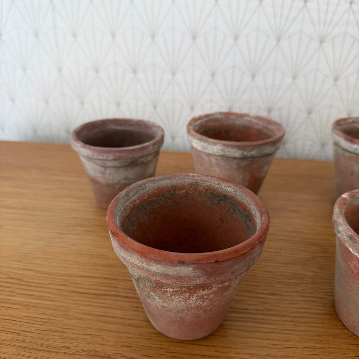Vintage French Terracotta Plant Pots Set of 6 Small Planters 15092613 Fleamarketfrance