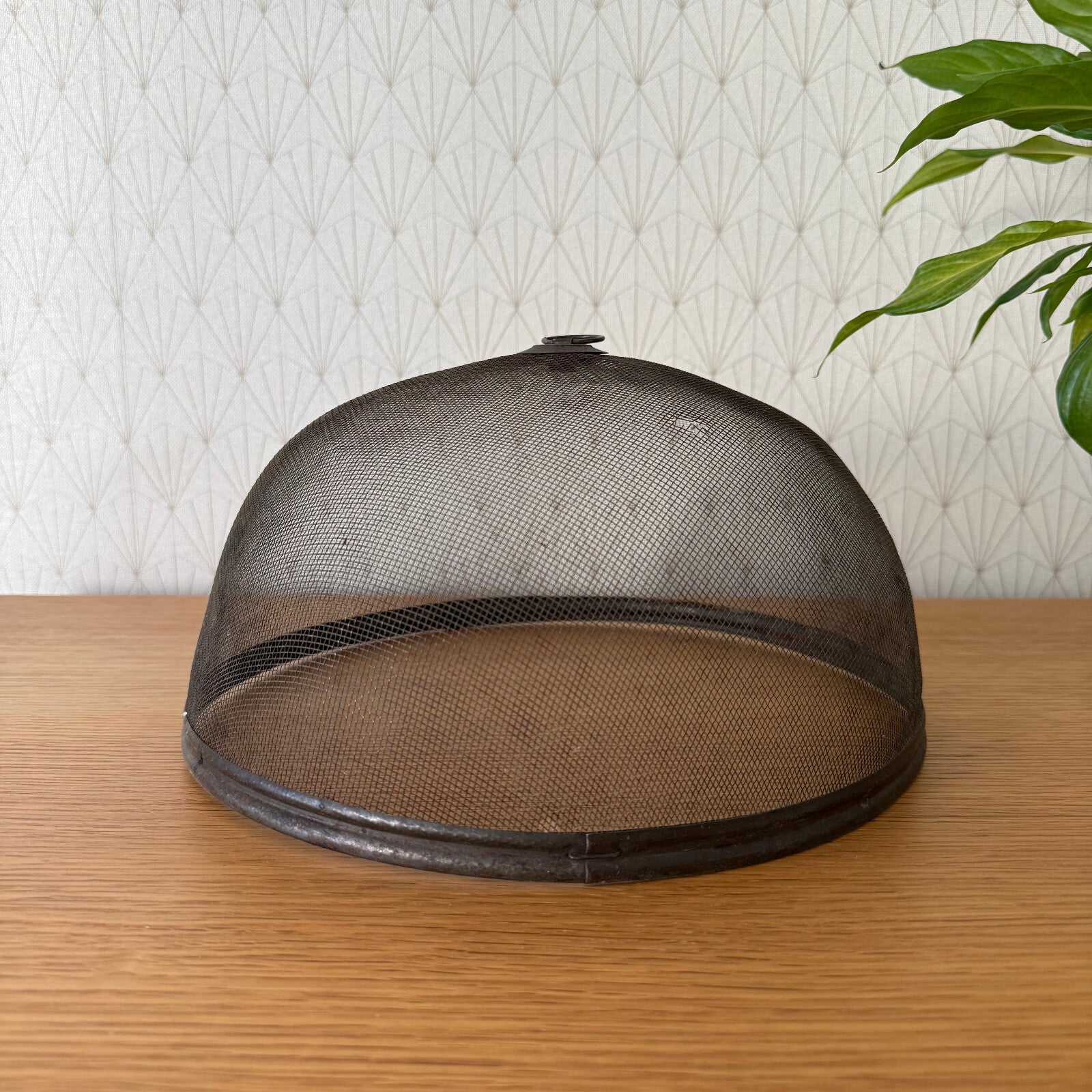 Vintage Wire Metal Cloche Knob Bell Cheese Cover Succulent Keeper 1904252 Unbranded