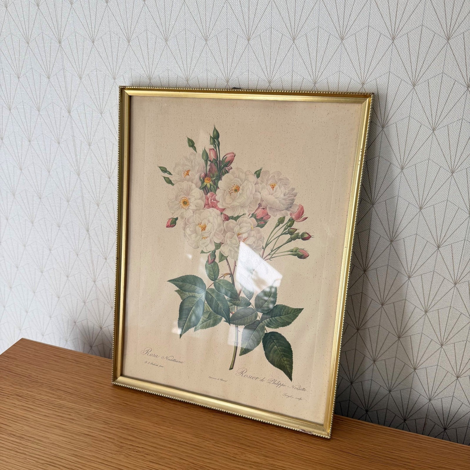 French Botanical Print Rosa Noisettiana Redoute Style Lithograph 1012251 no brand