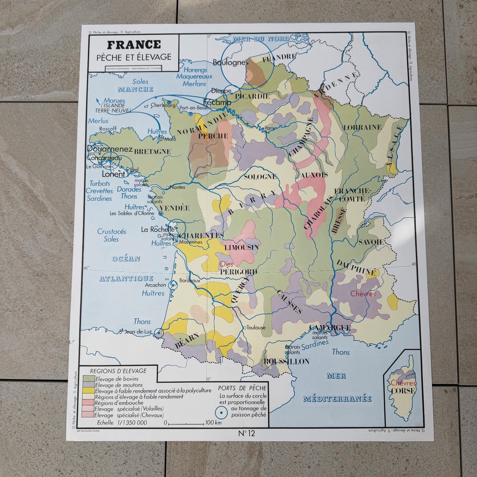 Vintage French Educational School Map Poster Agriculture Fishing 20082633 Fleamarketfrance