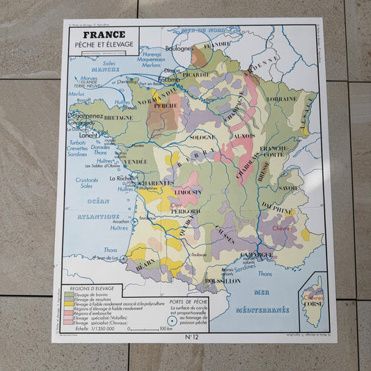 Vintage French Educational School Map Poster Agriculture Fishing 20082633 Fleamarketfrance
