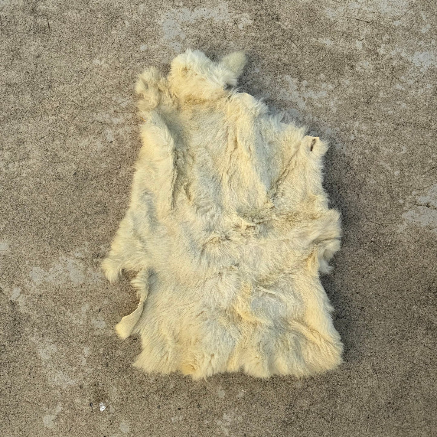 French Sheepskin Rug Vintage Natural Fur Pelt Hide Leather 02082412 Fleamarketfrance