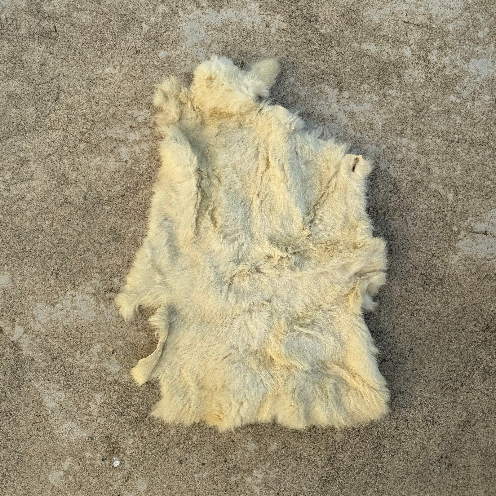 French Sheepskin Rug Vintage Natural Fur Pelt Hide Leather 02082412 Fleamarketfrance