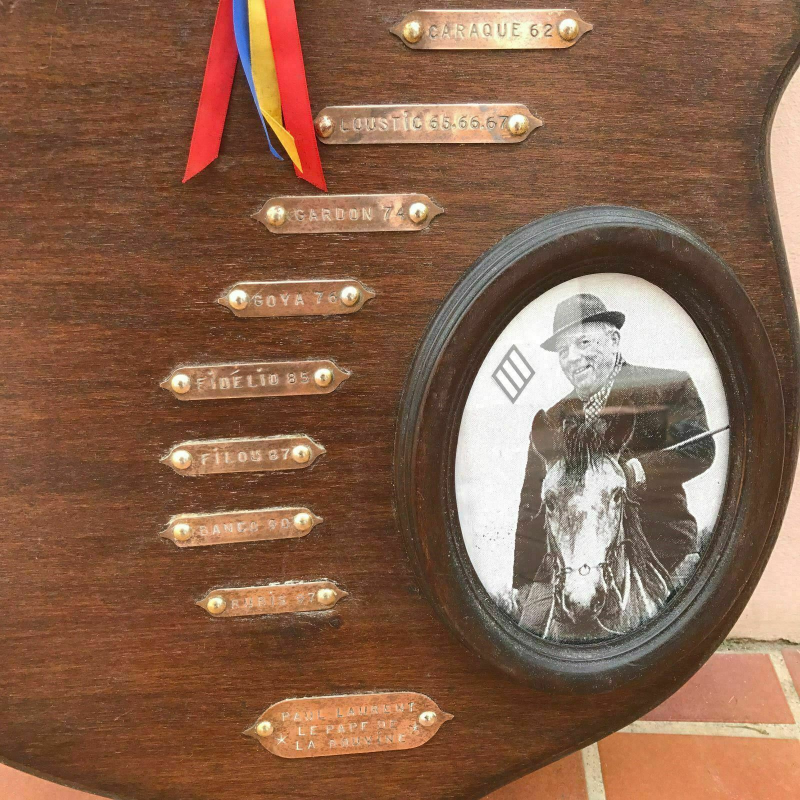 French Tauromachia Trophy Camargue Bull Manade Vintage Wall Mount1503201736 Fleamarketfrance