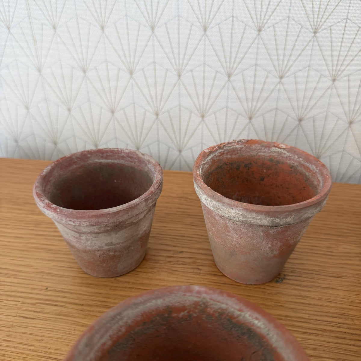 Vintage French Terracotta Plant Pots Set of 6 Small Planters 15092613 Fleamarketfrance
