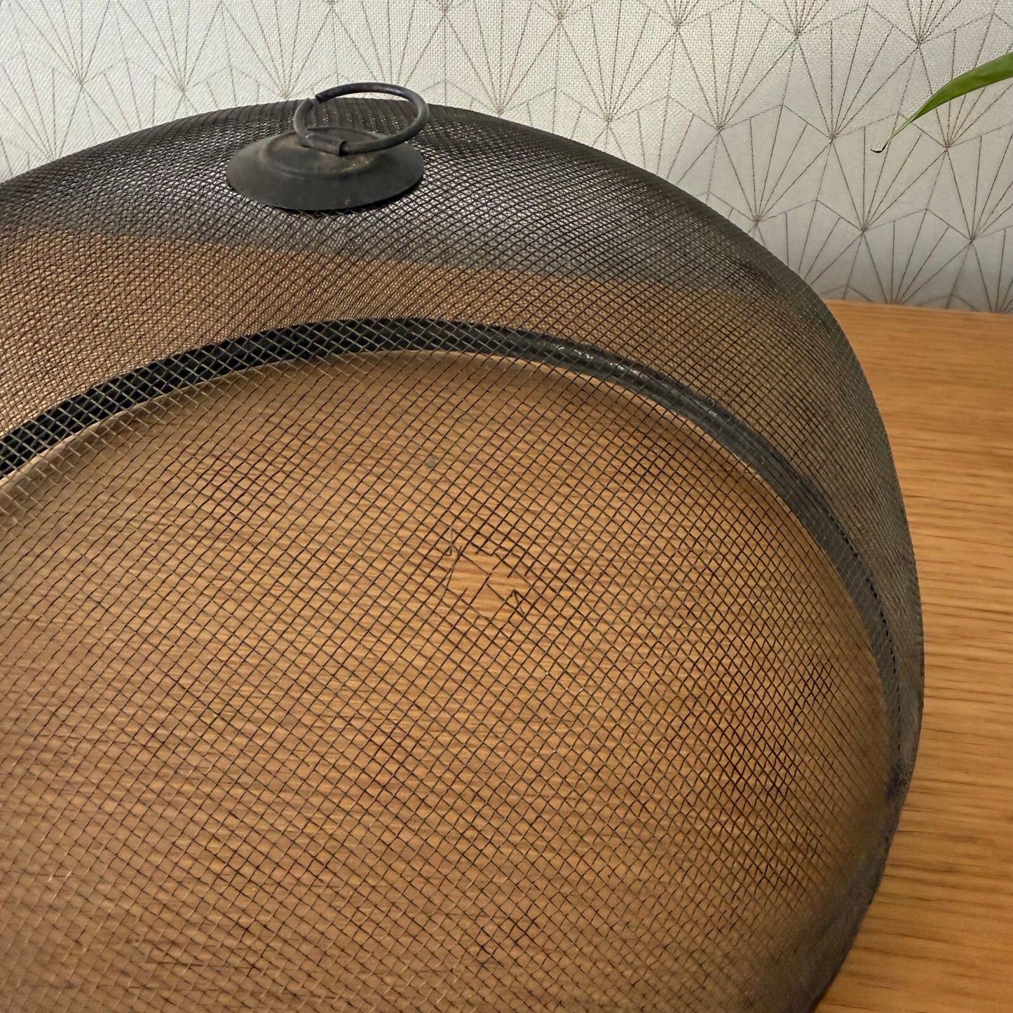 Vintage Wire Metal Cloche Knob Bell Cheese Cover Succulent Keeper 1904252 Unbranded