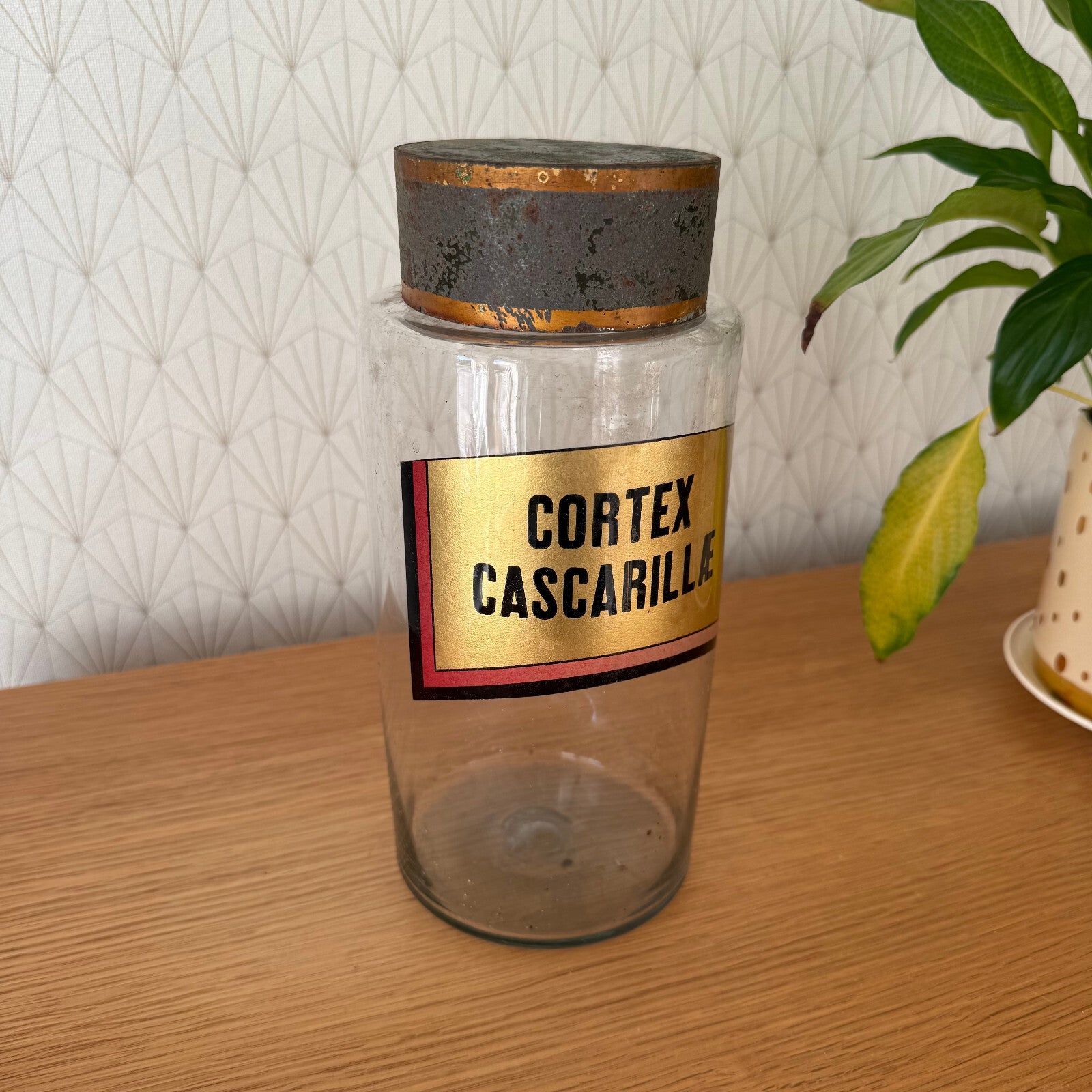 French Apothecary Jar Clear Glass Pharmacy Cortex Cascarille 1601251 Fleamarketfrance