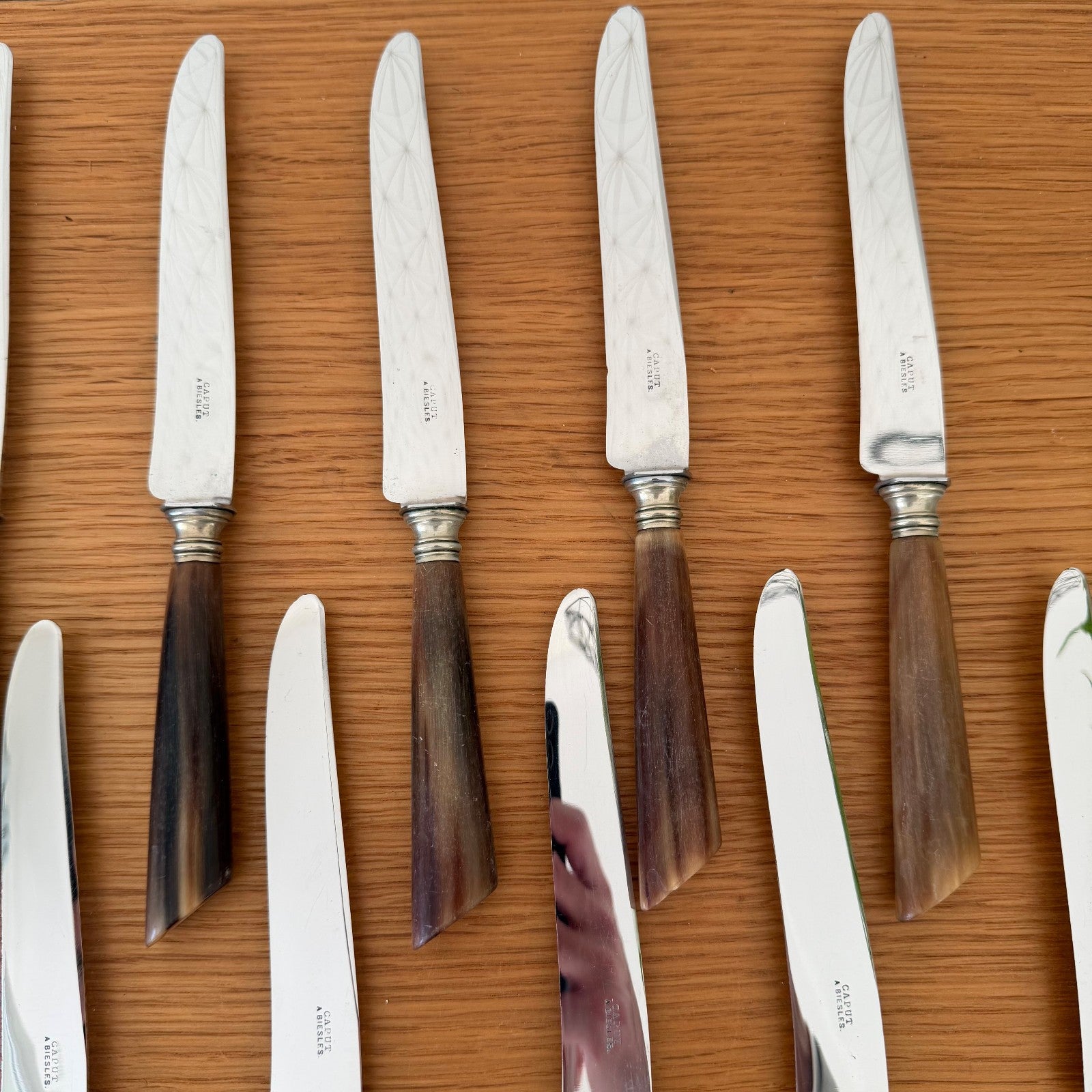 French Steak Knives Horn Handles Silver Ferrules Set of 12 Vintage 0302268 Unbranded