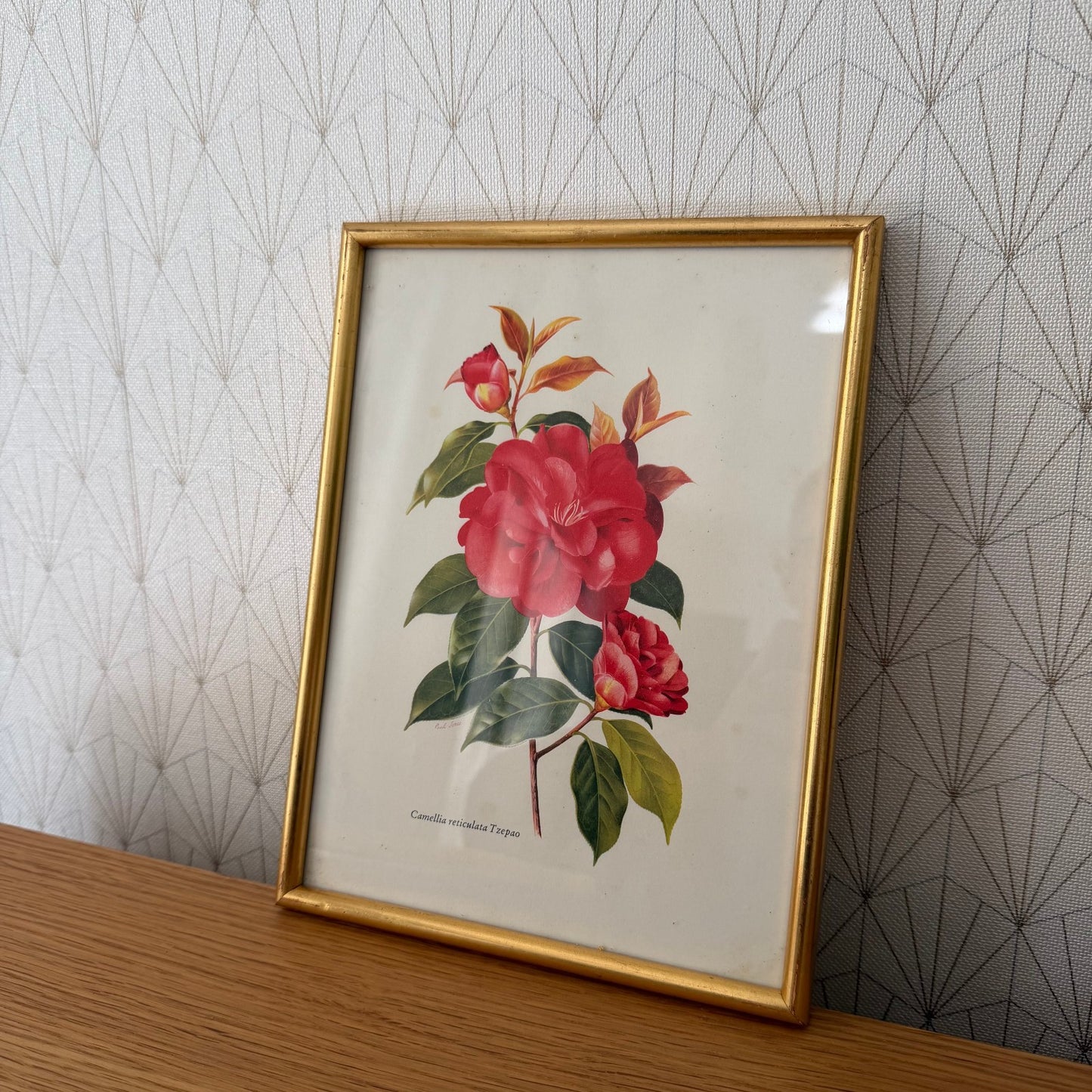 French Botanical Print Camellia Watercolor Gold Frame Vintage Art 2409255 Fleamarketfrance : French vintage and antique decor