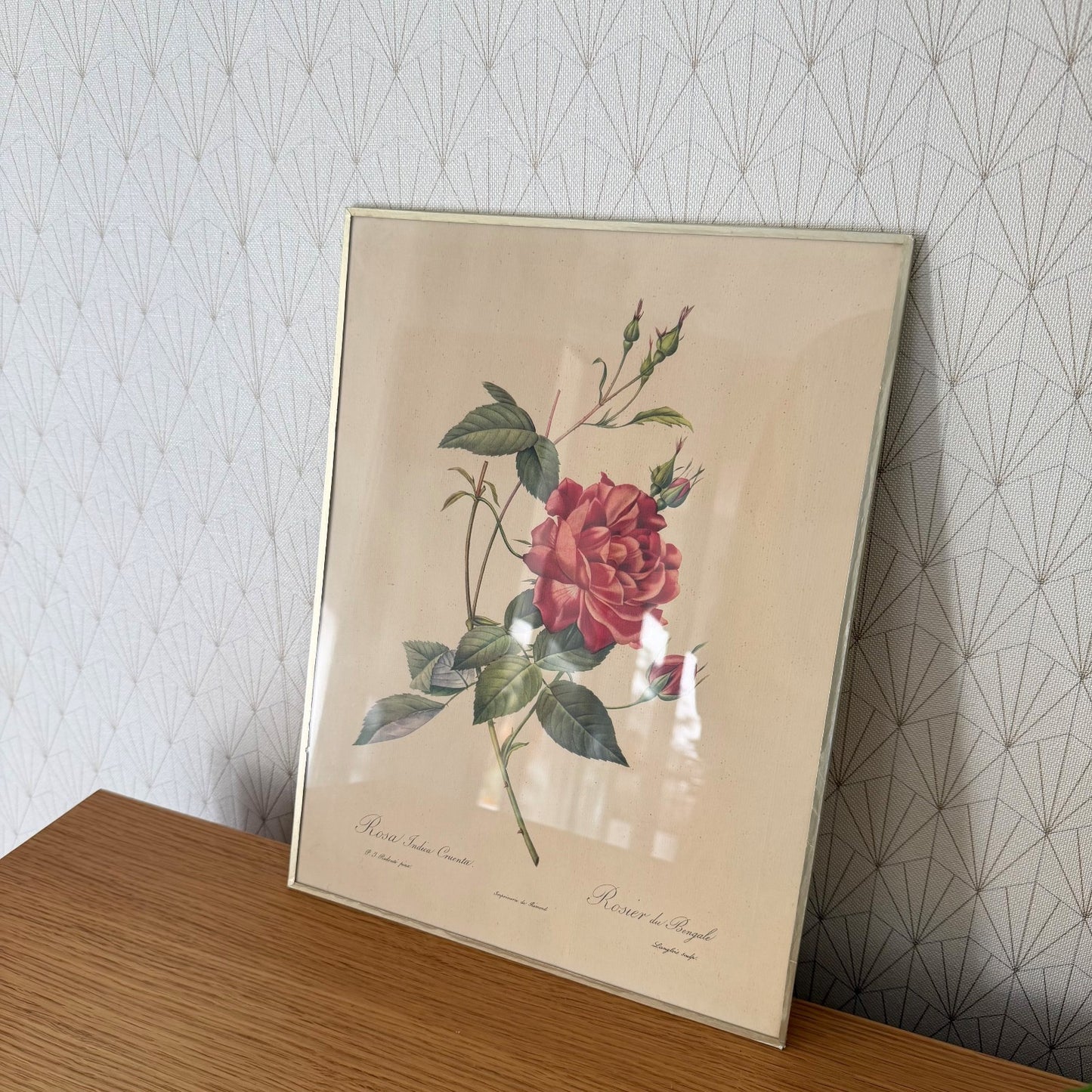 French Botanical Print Rose Redoute Style Lithograph Framed Vintage 1012253 no brand