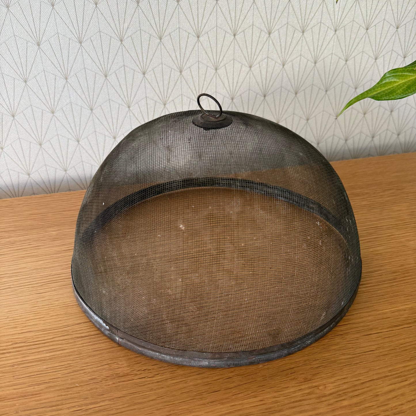 Vintage Wire Metal Cloche Knob Bell Cheese Cover Succulent Keeper 1904251 Unbranded
