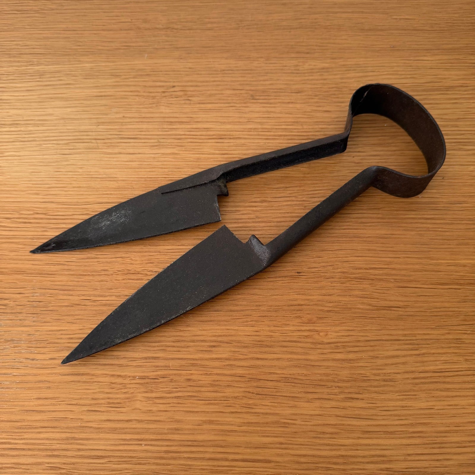 Antique French Sheep Shears Hand Forged Iron Spring Shears 1908264 Unbranded
