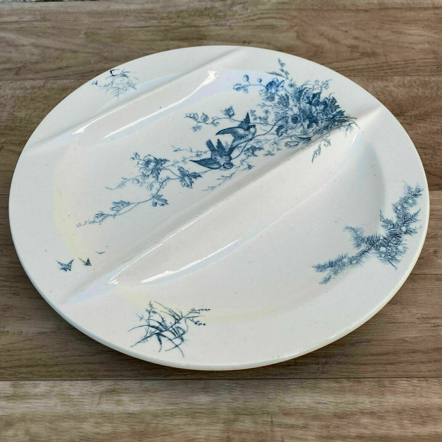 VINTAGE FRENCH ASPARAGUS PLATE LONGWY 3110211 - Fleamarketfrance