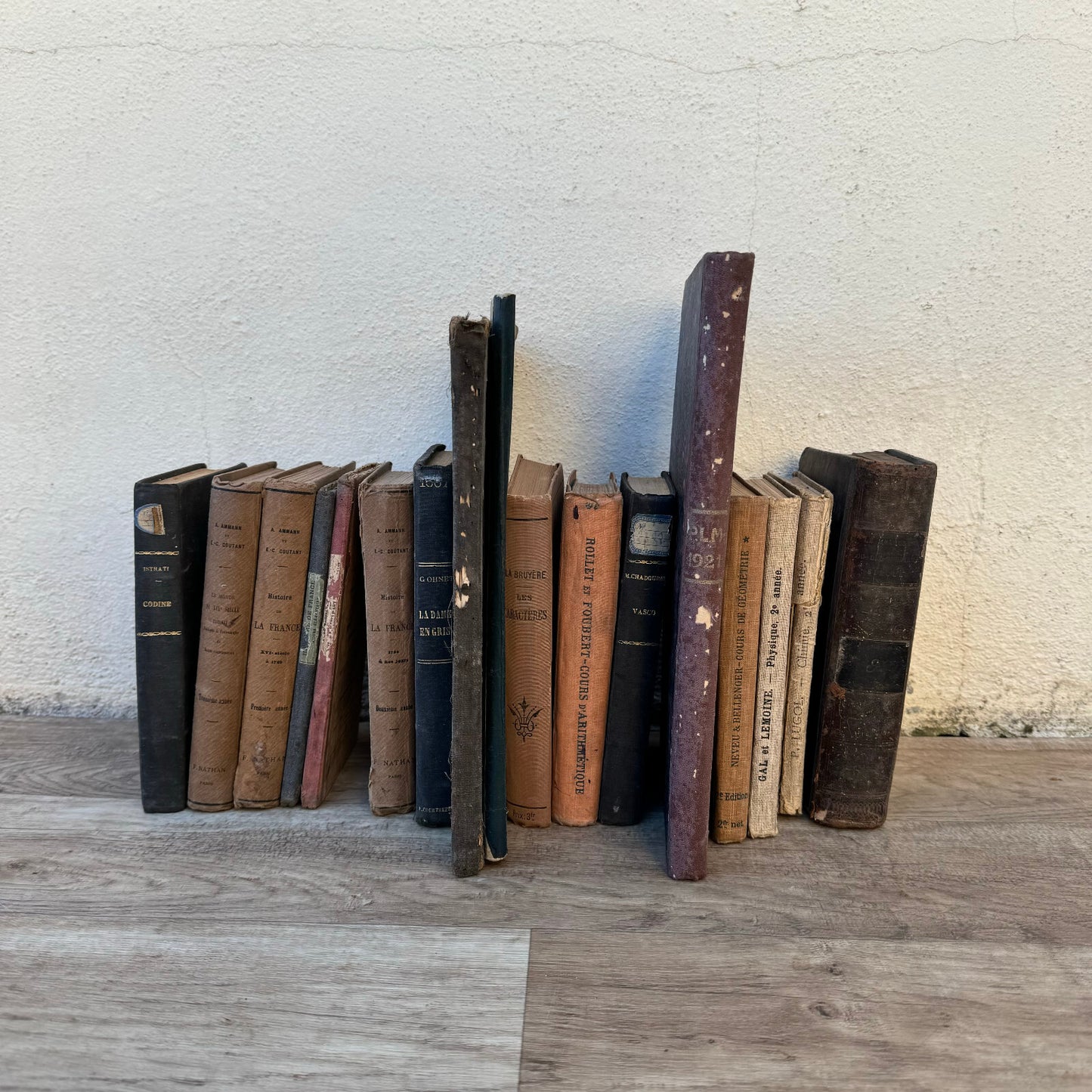 Antique French Books Collection 19th Century Decorative Leather 0905249 Fleamarketfrance