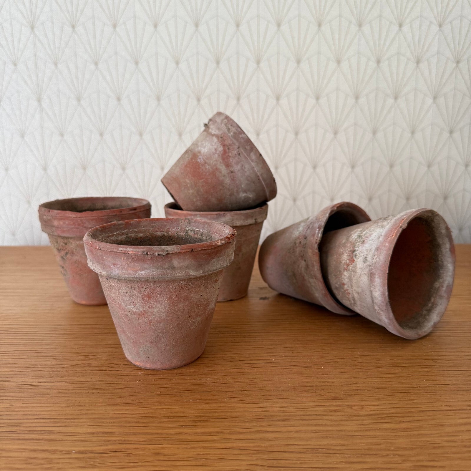 Vintage French Terracotta Pots Set of 6 Small Garden Planters 1102259 Fleamarketfrance