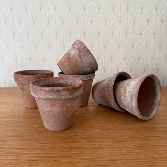 Vintage French Terracotta Pots Set of 6 Small Garden Planters 1102259 Fleamarketfrance