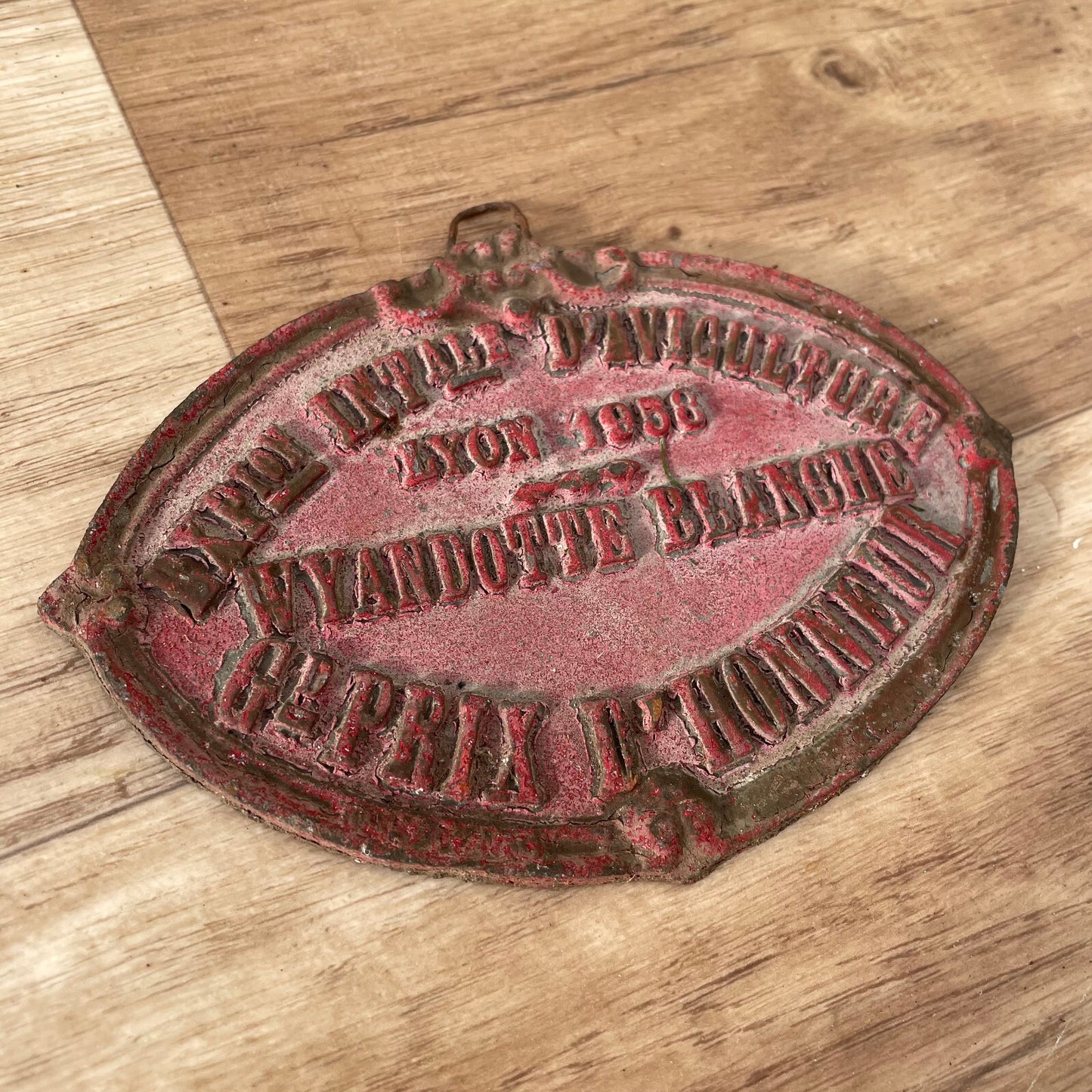 French Vintage Agricultural Plaque Lyon 1958 Cast Iron Poultry Award 11032517 Fleamarketfrance