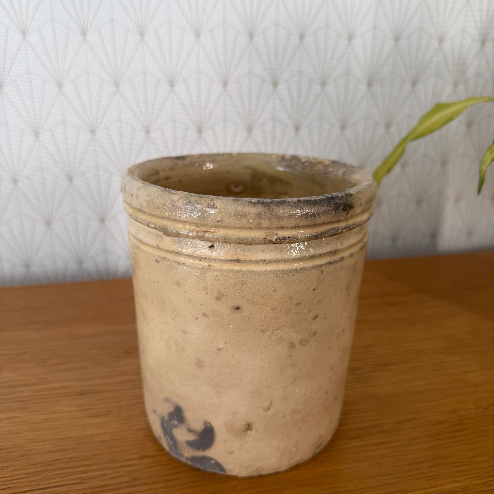 Antique Italian Stoneware Crock Sardine Pot Beige Glazed 01072610 Unbranded